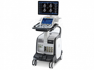 GE Vivid E95